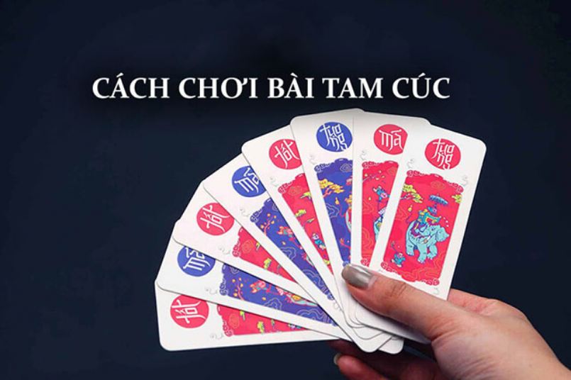 Cách đánh bài tam cúc được cho là khá phức tạp