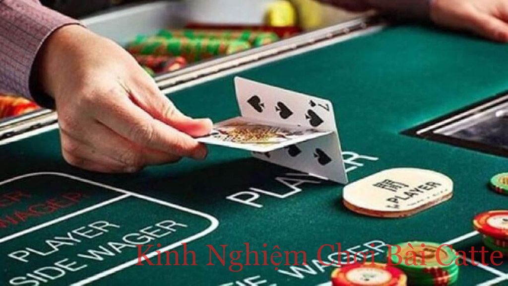 Tìm hiểu thuật ngữ dùng trong bài Catte