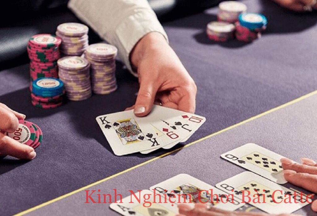 Kinh nghiệm chơi bài Catte hiệu quả, luôn thắng